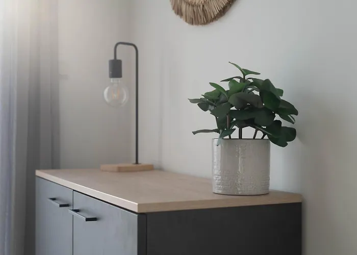 Apartman Schoene In Der Innenstadt I Kostenloses Parken I Home2share Osnabrück